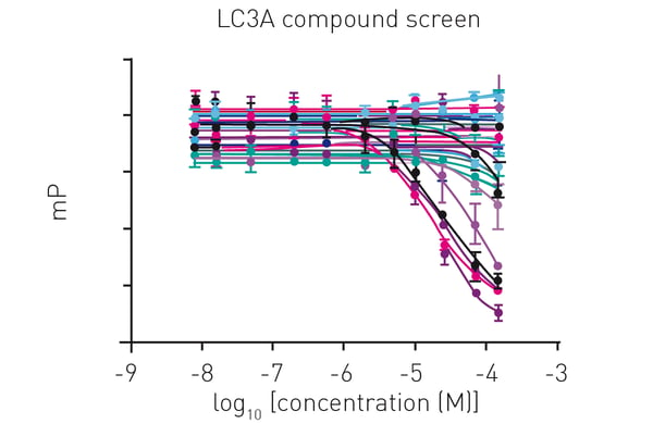 Fig. 4: Graphical representation of the raw data from compound titration against LC3A in 5 µl reactions in a 1536-well plate. Decreasing curves mark peptide displacement and therefore compound binding. Shown is a titration of 96 compounds in replicates. n=2