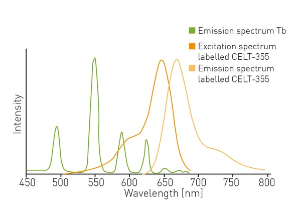 Fig. 1: Combinational optical spectra of terbium (Tb) and CELT-335: The terbium (donor) emission spectrum overlaps with the CELT-335 (acceptor) excitation spectrum (spectral overlap).