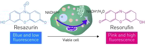 Fig. 1: Assay principle
