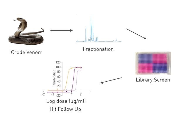 Fig. 2: Experimental procedure
