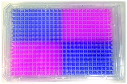 Fig. 3: Z’ Analysis of optimized cell assay