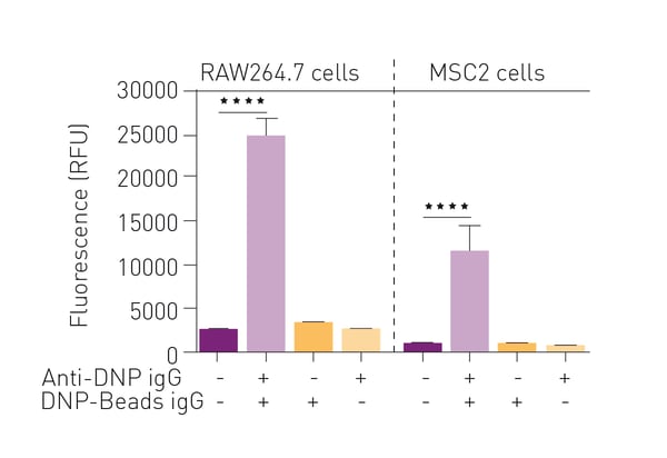 Fig. 2: Fluorescent detection of peroxynitrite upon antibodydependent cellular phagocytosis of tentagel beads by treatment of cell lines with PS3 (10 μM). Each condition was analyzed with 4 replicates.