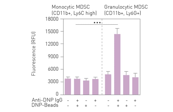 Fig. 3: Comparison of PS3-dependent fluorescence produced by granulocytic and monocytic MDSC isolated from mice during antibody-dependent cellular phagocytosis. Each condition was analyzed in triplicate.