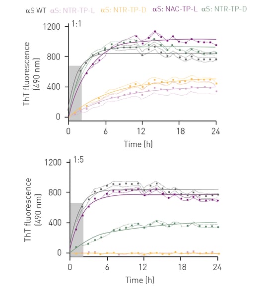 Figure 2: αS elongation kinetic assays without inhibitors (grey) and in the presence of inhibitors; NTR-TP-L (rose), NTR-TP-D (yellow), NAC-TP-L (purple) and NAC-TP-D (green). The rates of fibril elongation were determined from the initial velocities (slopes) of the kinetic curves near t=0.
