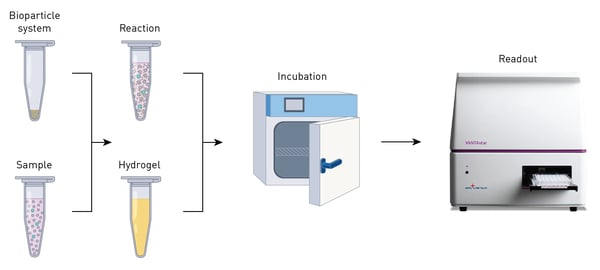 Fig. 2: Assay workfl ow.
