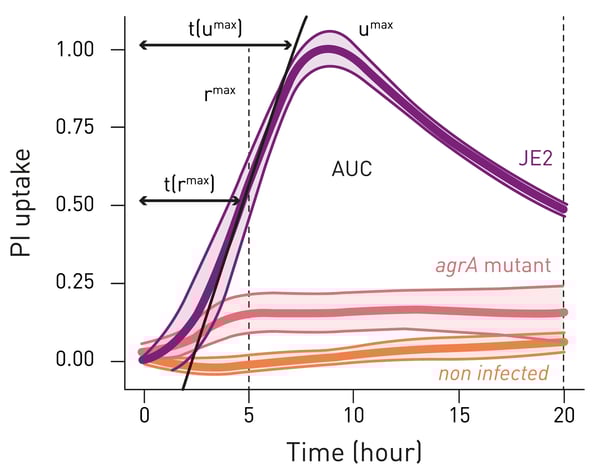 Fig. 2: Propidium iodide (PI) ﬂ uorescence uptake over 20 hours as a measure of S. aureus intracellular cytotoxicity in HeLa cells. Wild-type S. aureus JE2 (purple line), the JE2 agrA mutant (red line) and uninfected cells (orange line). The PI uptake curve for JE2 is annotated with ﬁ ve kinetic parameters. For each curve, the thick line represents the mean, and the shading represents the standard deviation.