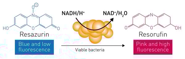 Fig. 1: Assay Principle of the Resazurin assay