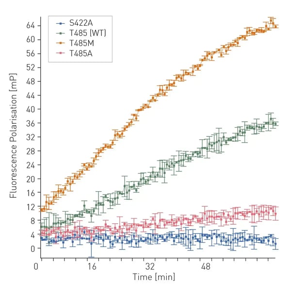 Fig. 2: BOCILLIN fluorescence polarization over time with WT, S422A, T485A and T485M PBP5 variants.