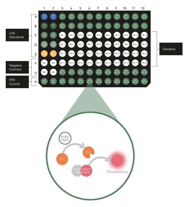 Fig. 1: Assay Principle.