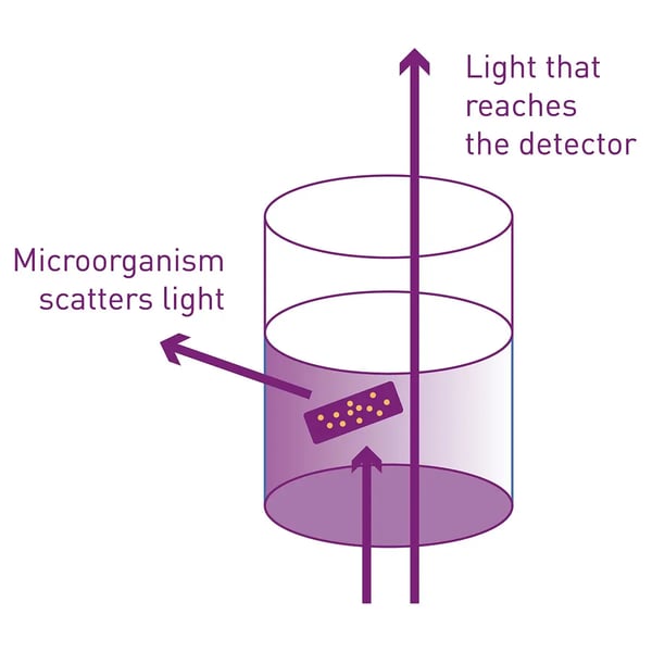 Fig. 1: Assay Principle of OD600 measurements.