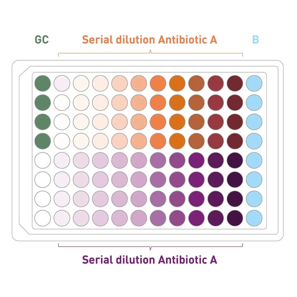 Fig. 2: Plate layout used for determination of MIC.