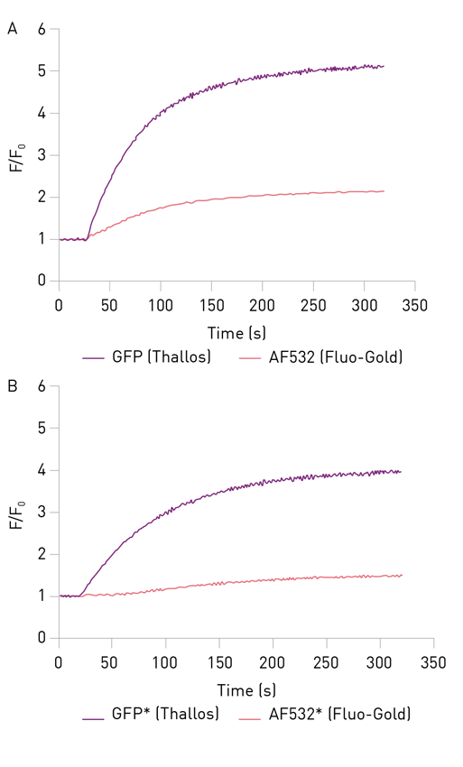 Fig. 2: Optimization of LVF monochromator for multiplex analysis. HEK293 prepared as described were treated with dopamine added 20 seconds after the start of the measurement using on-board injectors. A) Detection of Thallos AM and bleed-through into Fluo-Gold detection channel with default ﬂuorophore settings. B) Reduced bleed-through achieved by adjusting the LVF monochromator. Data were normalized to  the 20 second baseline prior to dopamine addition to obtain F/F0.