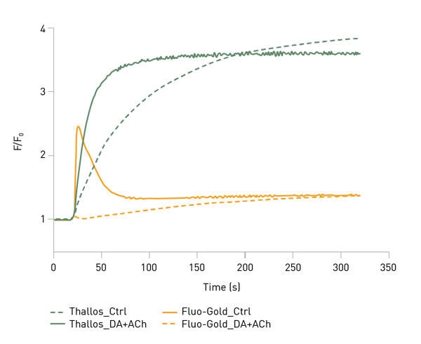 Fig. 3: Gq/Gi-GIRK Signal Multiplexing. HEK293 prepared as described were treated with thallium stimulus solution (TSS) as control (Ctrl) or dopamine and acetylcholine in  TSS (DA+Ach) 20 seconds after measurement start using on-board injectors. Data were normalized to 20 second baseline prior to stimulus addition to obtain F/F0.