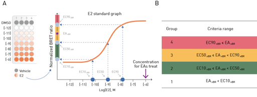 Fig. 2: Classifi cation of dimerisation using E2 standards. Dose-response curves (A) and BRET ratios (B) were established using E2 to classify the ERDDB biosensors.