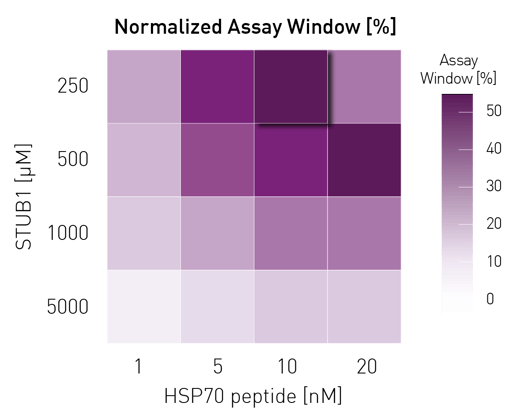 Fig. 2: Protein–peptide optimization heatmap.  Normalized assay window (%) across a cross-titration of labelled HSP70 peptide (1–20 nM) and mClover3–STUB1 (250–5000 nM), calculated from high-FRET (no competitor) and low-FRET (10 µM competitor) conditions.