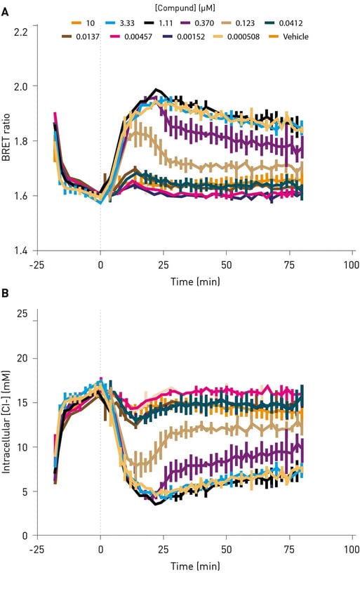 Fig. 3: Calculation of intracellular chloride concentration and measurement of changes induced by compound treatment. A) The addition of WNK463 results in a reduction in chloride and sub-sequent increase in BRET ratio. B) The data from (A) converted to predicted intracellular chloride levels using the reference curve from Figure 2. BRET ratio = E2GFP/NanoLuc emission.