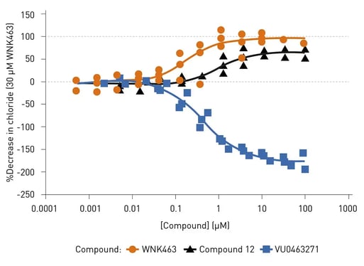Fig. 4: Conversion of kinetic data into concentration response curves. The AUC of kinetic plots are calculated and expressed as a % the relative decrease in chloride induced by 30 µM WNK463. The addition of KCC2 antagonist VU0463271 causes chloride concentration to increase by blocking chloride export. The addition of chloride agonist Compound 12 causes chloride concentration to decrease by increasing KCC2 activity.