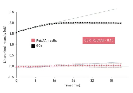 Fig. 3: Linearized intensity of GOx (positive control, in black) and cells treated with Rot/AA (negative control, in red).