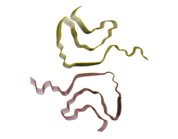 Fig. 1: Structure of alpha-synuclein fibrils. Credit: Image from the RCSB PDB (RCSB.org) of PDB ID 6H6B, Guerrero-Ferreira R, Taylor NM, Mona D, Ringler P, Lauer ME, Riek R, Britschgi M, Stahlberg H. Cryo-EM structure of alpha-synuclein fibrils. Elife. 2018 Jul 3. https://doi.org/10.2210/pdb6H6B/pdb