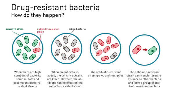 Fig. 1: Drug-resistant bacteria. How do they happen? 