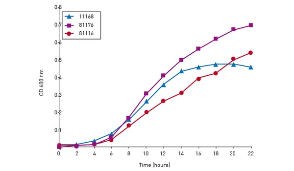 Fig. 3: Growth of Campylobacter isolates over a 24-hour period in the FLUOstar Omega.