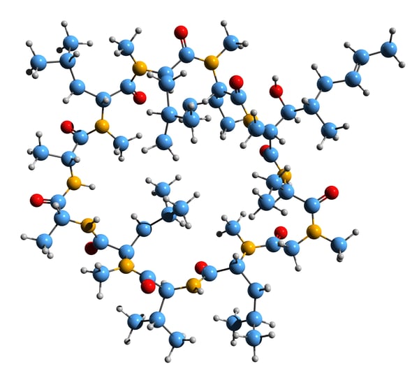 Fig.3: The structure of cyclosporin A. 