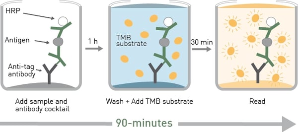 Fig.2: Principle of SingleStep ELISA Kit Assay.