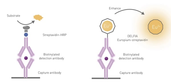 Fig.5: Comparison of standard ELISA (left) and time-resolved fluorescence (DELFIA, right) immunoassays. Time-resolved fluorescence immunoassays can be used as sandwich-type or competitive assays. After target binding, europium ions are dissociated from the antibody, a new chelate in solution is formed and time-resolved fluorescence is detected by the microplate reader.