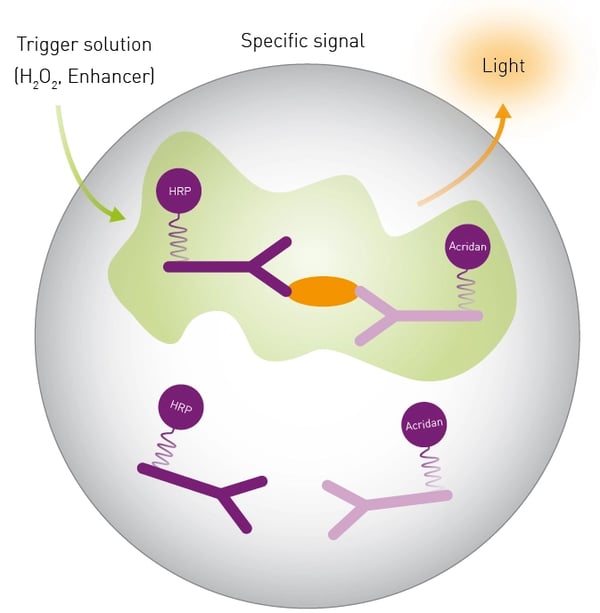 Fig.7: Mechanistic scheme of SPARCL technology.