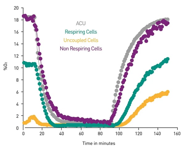 Fig.11: Ischemia-reperfusion proof-of-concept using HepG2 cells. Ischemia-reperfusion insult induced by modulating O2 in the measurement chamber. Cellular oxygenation is monitored in respiring, non-respiring (Antimycin treated), and uncoupled (FCCP treated) cells.