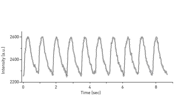 Fig. 3: Calcium ion transient measurements using iPSC derived 3D heart tissue and Fluo-4.