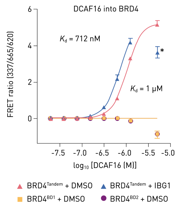 Fig. 2: TR-FRET complex-stabilisation assay. His-tagged BRD4Tandem or BRD4BD1 (200 nM) bound to anti-His-europium was incubated with increasing concentrations of Cy5-labelled DCAF16 in the presence or absence of 1 µM IGB1. Mean ± SD of n=2 independent experiments with 2 technical replicates