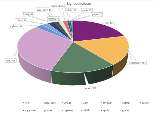 Fig. 1: Sources of lignocellulose in biofuel research.