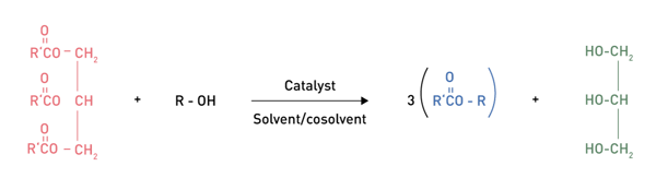 Fig. 2: Transesterification Process of Biofuels.