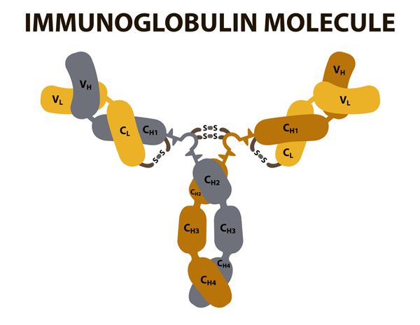 biosensors-fig1