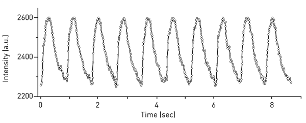 Fig. 4: High sampling rate (0.01 s) used for the measurement of Ca2+ transients in engineered heart tissues.