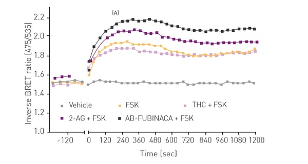 Fig.6: A) Real-time measurement of stimulation of cAMP levels by 10µM THC, 2-arachidinoylglycerol and AB-FUBINACA in HEK-CB1 cells. B) Summary cAMP signaling peaks for 16 cannabinoids showing increase in cAMP levels above that of FSK (3µM) alone (100%).