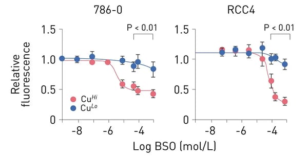 Fig. 3: Effect of different copper levels on cell proliferation in the presence of an inhibitor of glutathione metabolism. CuHi but not CuLo cells (cells grown on high and low copper diets, respectively) are sensitive to inhibition of glutathione biosynthesis by buthionine sulphoximine (48 hours) measured using a CyQUANT proliferation assay. In this case, the cell proliferation assay provides endpoint measurements looking at the impact of inhibitors on cell metabolism and its overall impact on cell count. Source: Open Access Creative Commons CC-BY-NC-ND license.5