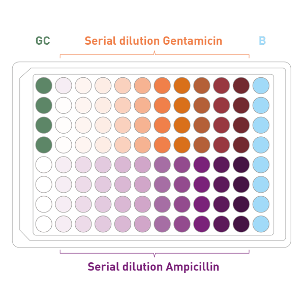 Fig. 3: Plate layout used for determination of MIC.