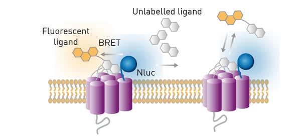 Fig.15: The NanoBRET binding assay principle.