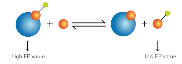 Fig. 17: H-Prostaglandin D synthase inhibitor assay principle