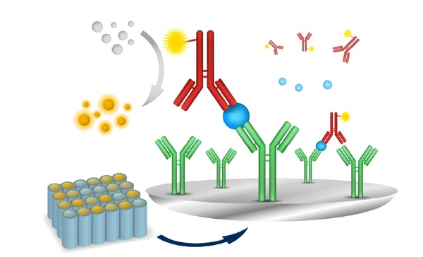 Fig.7: Assay principle of the most common microplate-based immunoassay, the ELISA. A capture antibody (green) that specifically binds the analyte is immobilized on a microplate. It serves to bind and capture the analyte (blue) on the plate. A second antibody (red) that likewise binds the analyte carries an enzyme (yellow). In a last step, a substrate is added (grey) that is converted by the enzyme to a chromophore or fluorophore. The more analyte is found in the sample, the more enzyme is bound, and the more substrate is converted. Therefore, the signal intensity correlates with the concentration of analyte.