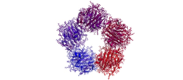 Fig. 3: Human C-reactive Protein.