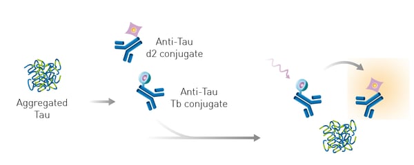 Fig. 5: HTRF® tau aggregation assay principle.