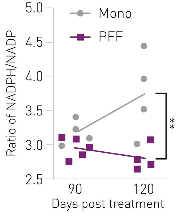 Fig. 6: Pentose phosphate pathway metabolic flux measured by the ratiometric levels of NADPH+/H+ to NADP+ from 90 to 120 days post inoculation with α-synuclein pre-formed fibrils or monomer controls. The decrease for α-synuclein pre-formed fibrils (PFF) is more significant compared with α-synuclein monomer controls (mono). Source: Open Access Creative Commons CC-BY-NC-ND license. 8
