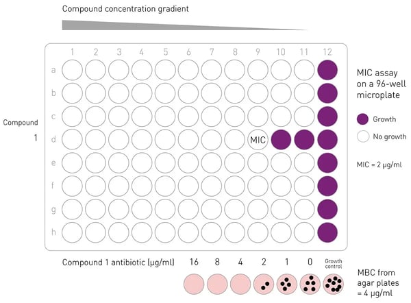 Fig.4: Minimum inhibitory concentration assay on a 96-well microplate plate and subsequent agar plating to determine minimum bactericidal concentration of antibiotics. Killing bacteria requires a higher concentration of an antimicrobial agent than merely inhibiting growth. The MBC is the lowest concentration of antibiotic that kills 99.9% of the bacteria on an agar plate in a given time period. For compound 1 shown here (row d), the MBC corresponds to the concentration of antibiotic used in well 8 (4 µg/ml). The MIC for this compound is 2 µg/ml.