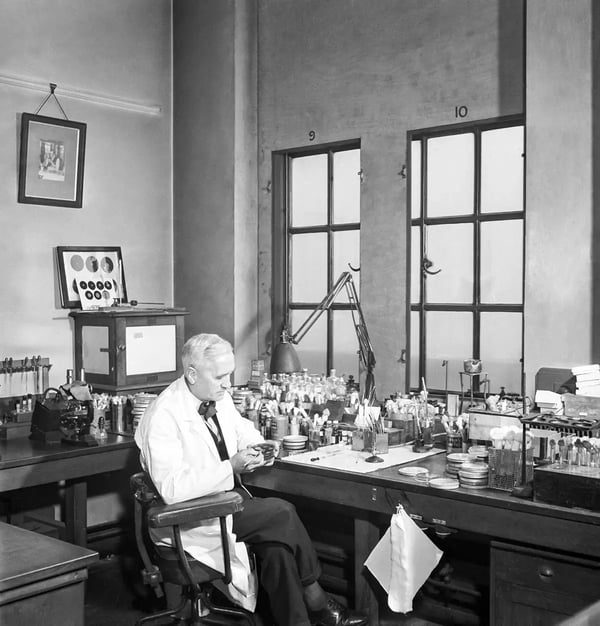 Fig. 1: Alexander Fleming’s early work has been described as a forerunner of contemporary methods to determine minimum inhibitory concentrations (MICs).