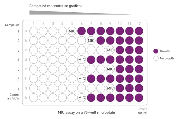 Fig. 5: Minimum inhibitory concentration assay on a 96-well plate.