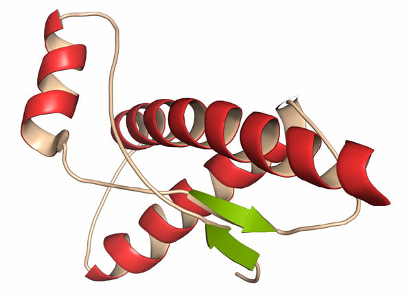 Fig. 3: Human prion protein PrP^C.
