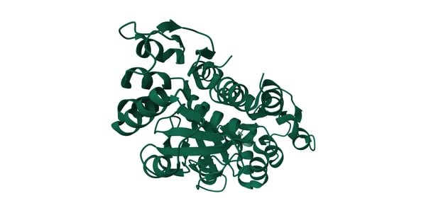 Fig. 2: Three-dimensional structure of PARK7 (also known as DJ-1), a protein of the peptidase C56 family linked with early onset Parkinson’s disease. Credit: Image from the RCSB PDB (RCSB.org) of PDB ID 1P5F, Wilson MA, Collins JL, Hod Y, Ringe D, Petsko GA. The 1.1-A resolution crystal structure of DJ-1, the protein mutated in autosomal recessive early onset Parkinson's disease. Proc Natl Acad Sci U S A. 2003 Aug 5;100(16):9256-61. doi: 10.1073/pnas.1133288100. Epub 2003 Jul 10. PMID: 12855764; PMCID: PMC170905.